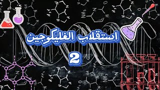 استقلاب الغليكوجين 2 Glycogen Metabolism [upl. by Emmey]