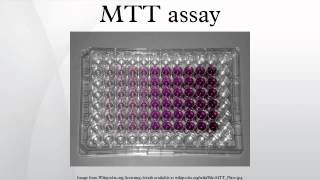 MTT assay [upl. by Einnim491]