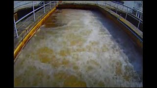 Sand Filter Backwash timelapse [upl. by Tally]