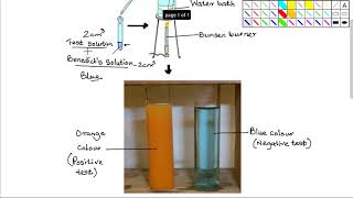 Food TestReducing Sugars [upl. by Moffitt]