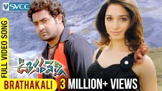 Oosaravelli Movie  Brathakali Video Song  Jr NTR  Tamannaah  DSP  Surender Reddy [upl. by Lombardo]