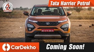 Tata Harrier Petrol  Expected Specs DualClutch Automatic and More Details In2Mins [upl. by Galang]