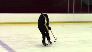 Turcotte Stickhandling Updated 517110001wmv [upl. by Eeclehc]