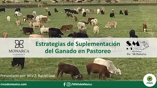 WEBINAR Estrategias de Suplementación de Ganado en Pastoreo MVZ Raciel Leal MNA México MONARCA [upl. by Grinnell]