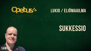 Sukkessio [upl. by Dorelia]