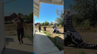 The best Halloween SCARE prank 😂👻 prank funny marriedlife comedy [upl. by Mcnair]