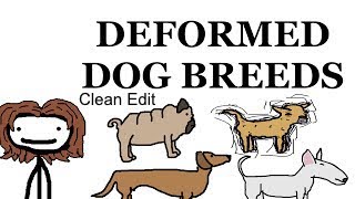 Deformed Dog Breeds [upl. by Foskett214]