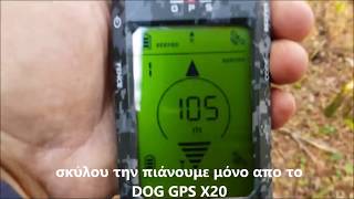 GPS κολάρο για σκύλους και BEEPER  DOG GPS X20 [upl. by Eeruhs814]