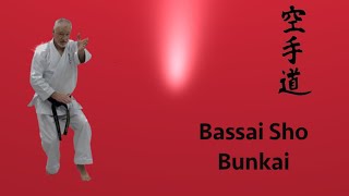 Bassai Sho Bunkai [upl. by Roxy]