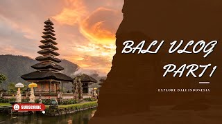 Bali Vlog Part 1 Ubud  2024 Travel Guide  ബാലി യാത്രാ വ്ലോഗ് ഭാഗം 1 [upl. by Avehsile272]