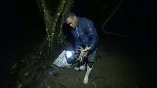 Catching Land Crabs at Night Catch amp Cook🇫🇯 [upl. by Eimmaj]