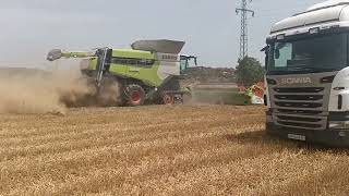 Žatva 2024Donau Farm Semat2x Claas Lexion 88002x John Deere [upl. by Ardnasak702]