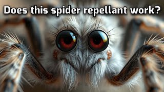 Spider Infestation Try This Natural Solution Tonight [upl. by Kalvin]