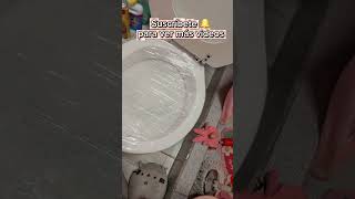 Destapar el Water del baño sin esfuerzo 🚽💧 viral tiktok shortvideos chile [upl. by Ennylyak469]