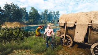 Yes This is actually in the game  The Witcher 3 [upl. by Pfosi65]