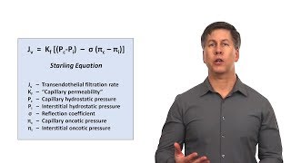 An Approach to Peripheral Edema [upl. by Ernestus]