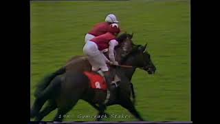 1987 Gimcrack Stakes Reprimand Includes Replay [upl. by Modla]