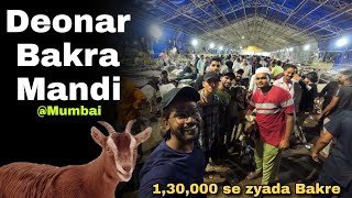 Sabse Badi Bakra Mandi🐐 Deonar Bakra Mandi 2024  130000 se zyada Bakre hai yaha 😲 [upl. by Godderd]