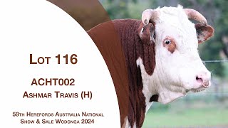 Lot 116 Ashmar Travis H [upl. by Adiesirb849]