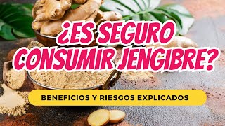 ¿Es Seguro Consumir Jengibre Beneficios y Riesgos Explicados [upl. by Cord142]