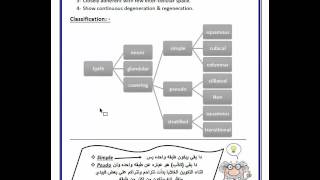 Simplified HIstology  Epithelium 1 شرح هستولوجي [upl. by Roter837]