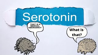 What YOU Should KNOW about Serotonin Syndrome PMHNP EXAM REVIEW serotonin [upl. by Enilegnave]