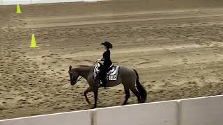 All American Youth Horse Show Horsemanship with Willy B Dynamic Willy horse equestrian viral [upl. by Maddie]