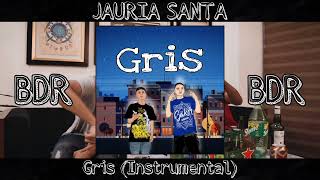 Jauria Santa  Gris Instrumental 46 [upl. by Nicolle]