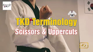 Taekwondo Terminology  Poomsae 7 Scissor amp Uppercuts Tutorial 7 [upl. by Liggitt320]