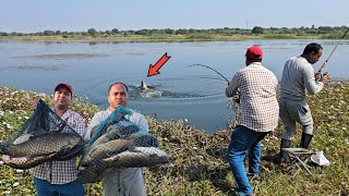 Big Fishes Hunting amp Catching  Techniques Hook Fishing  Float Fishing Video [upl. by Yvel]