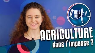 PRESIDENTIELLE 2017  Agriculture élevage paysans un modèle dans limpasse   LOeil du Fil 3 [upl. by Naeroled]