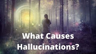 How Can You Tell If You are Hallucinating [upl. by Cohligan]