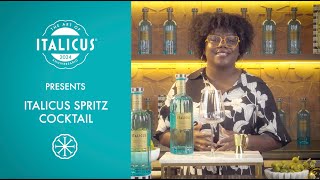 Ep5  ITALICUS SPRITZ COCKTAIL with LP OBrien [upl. by Halac]