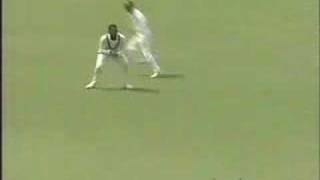 West Indies vs Australia 5th test 1993 part 1of3 [upl. by Hegarty99]