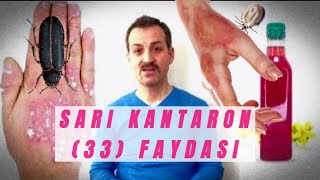 KANTARON YAĞININ 33 FAYDASI kantaronyağıfaydaları kantaronyağı sarıkantaron [upl. by Enale900]