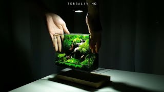 Desktop ZERO Preserved Moss Wall Terrarium by TerraLiving [upl. by Nami]