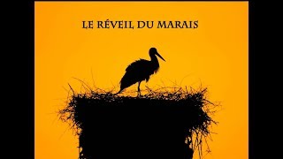 LE RÉVEIL DU MARAIS documentaire animalier [upl. by Clo]