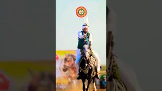 Neza Bazi 2024  Best Neza Bazi  Tent Peggin nezabazi youtubeshorts gujarkhan horseriders [upl. by Llerdnek]