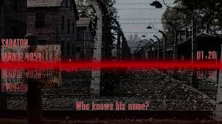 Inmate 4859  Sabaton  Lyrics amp Visualizer [upl. by Zurkow]