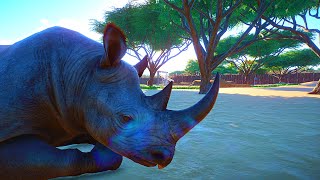 Making a HUGE Ethical Black Rhino Habitat [upl. by Ruenhcs]