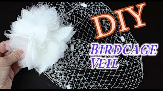 DIY Birdcage Bridal Veil [upl. by Ahsiemac463]