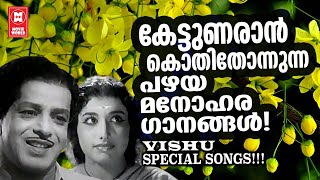 കേട്ടുണരാൻ കൊതിതോന്നുന്ന പഴയകാല ഗാനങ്ങൾ  VISHU SPECIAL SONGS  MALAYALAM FILM SONGS [upl. by Whitaker]