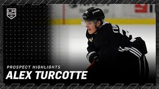 Alex Turcotte Highlights from 201819 Season  LA Kings Prospects [upl. by Merrili]