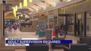 Adult supervision required at Opry Mills Mall [upl. by Marian]