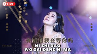 Ni Zhi Dao Wo Zai Deng Ni Ma 《你知道我在等你吗》Desy Huang 黄家美 [upl. by Ecyor]