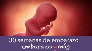 30 semanas de embarazo  Séptimo mes  EMBARAZOYMAS [upl. by Alfonzo]