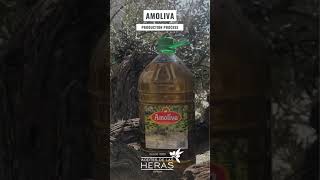 Producción AMOLIVA 5L PET 2024 [upl. by Araes]