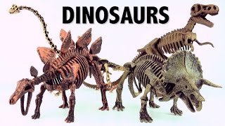 Dinosaur surprise Eggs Skeleton fossils Triceratops and Brachiosaurus Part 2 [upl. by Michal340]