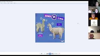 Local Skills Academy Episode 2  Ziraldo Alpacas [upl. by Larentia753]