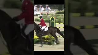 Hickstead ❤️❤️❤️ horse equestrian hickstead [upl. by Arehahs]